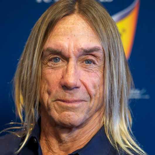 picture of iggy pop